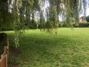 Playing field.