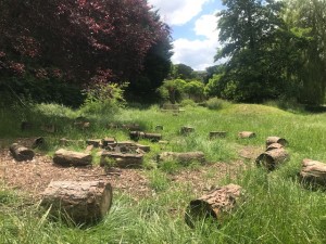 Forest school exploration area.